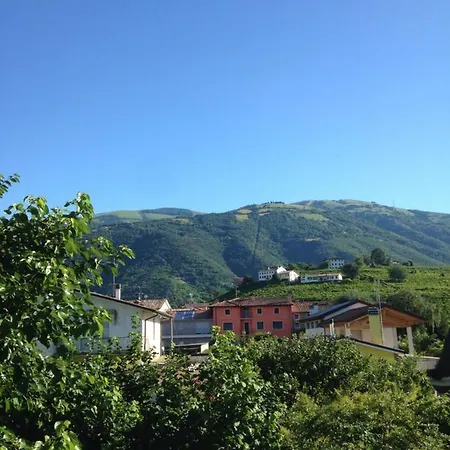 Zanin Di Zanin Mauro *